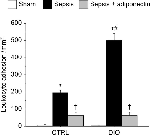 Figure 1 adiponectin decreased leukocyte adhesion in cerebral microcirculation in CTRl and DIO mice with sepsis.Notes: sepsis-induced leukocyte adhesion in the cerebral microcirculation was significantly increased in DIO and CTRl mice compared to respective sham control. Moreover, the leukocyte adhesion in DIO-sepsis mice was significantly increased compared to the CTRl-sepsis mice. In both the CTRl and DIO mice, the leukocyte adhesion in adiponectin-treated mice was significantly decreased compared to their respective sepsis alone counterparts. leukocyte adhesion in sepsis + adiponectin groups from CTRl vs DIO was not significantly different from one another. *P<0.05 vs respective sham; #P<0.05 vs cTRl sepsis; † P<0.05 vs respective sepsis.Abbreviations: CTRl, control diet; DIO, diet-induced obesity.
