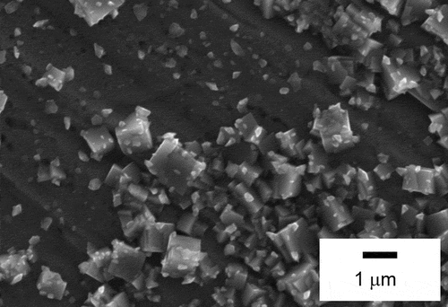 Figure 9. Microstructure of airborne aerosol particles trapped at 400 K