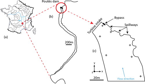 Figure 1. Study area of smolt migration: (a) location of the Allier River in France, (b) location of Poutès dam zone on the Allier River, (c) zoom on the dam and simulation zone. The crosses indicate hydrophone locations in 2017 (Tétard et al. (Citation2021)).