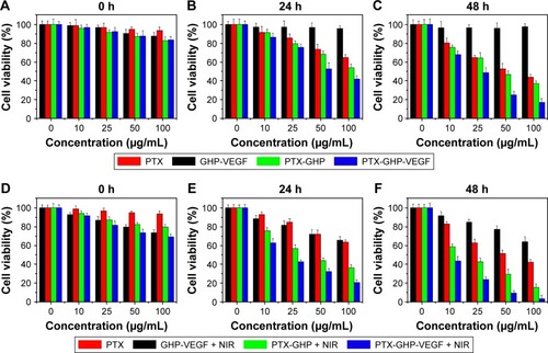 Figure 8 In vitro cytotoxicity.Note: Cell viabilities of SW-13 cells after incubation with different concentrations of PTX, GHP-VEGF, PTX-GHP, and PTX-GHP-VEGF for various times with (A–C) or without (D–F) 808-nm laser irradiation (1 W/cm2) for 5 minutes.Abbreviations: PTX, paclitaxel; VEGF, vascular endothelial growth factor; NIR, near infrared; GHP, GHP, GO-HSA-PEG.