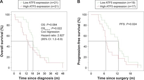Figure 2 Kaplan–Meier analysis of GBM patients with high and low ATF5 mRNA expressions at primary surgery.