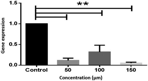 Figure 4. Expression of bcl-2 gene in LS-180 cell line. The expression of genes was measured using the Real-Time PCR technique and compared to control cells. The results are repeated three times and tested as Mean ± SEM. The columns that have had a significant difference after the DDCT test are marked with a star sign. The significance level is considered to be P < .01. (**P < .01).