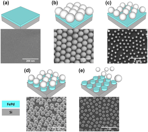 Figure 1. Schematic description of the nanofabrication process together with corresponding SEM images: (a) sputter deposition of a Fe50Pd50 layer on a Si substrate; (b) deposition of a monolayer of polystyrene nanosphere; (c) plasma etching in Ar+ to reduce PN diameter; (d) sputter etching to remove magnetic layer among spheres; (e) sphere removal by sonication.