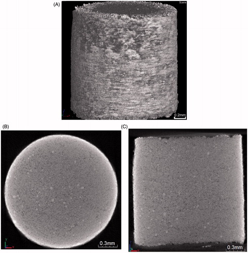Figure 4. Micro-CT images of a stainless steel microparticle pellet made of 40 mg/ml PVP (white spots in the images): (A) reconstructed three dimension view of the pellet (B) top internal view across the pellet at the position of 1.08 mm on the z axis (C) side internal view across the pellet at the position of 1.08 mm on the y axis. The images show homogeneity of the packing of the microparticles.