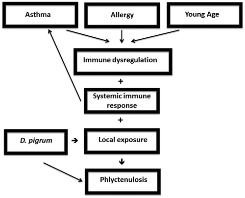 Figure 2. Schematic diagram: pathogenesis of phlyctenular eye disease in our patient with asthma, allergy, and Dolosigranulum pigrum.