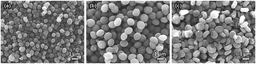 Figure 1. SEM images of (a) V, (b) SiV, and (c) MgSiV.