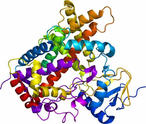 Figure 1. Ribbon struture of CYP2C19 enzyme