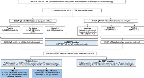 Figure 2. Case definitions for tick-borne encephalitis virus infection, tick-borne encephalitis case, and previous tick-borne encephalitis case, Japan, 2010–2021. CSF = cerebrospinal fluid; ELISA = enzyme-linked immunosorbent assay; IgG = immunoglobulin G; IgM = immunoglobulin M; JEV = Japanese encephalitis virus; NT = neutralization test; TBE = tick-borne encephalitis; TBEV = tick-borne encephalitis virus.