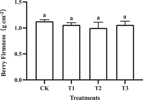 Figure 4. Firmness of ‘Shine Muscat’ fruit subjected to GA3 treatments. Different lower-case letters indicate significant differences among treatments (n= 3, Duncan’s test, p <.05).