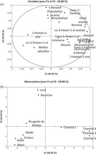 Figure 3. Principal component analysis of volatile compounds: (a) plot of component weights and (b) scatter plot of EVOOs samples: Aaleh, Abani, Bouricha, Chemlal, Ferkani, Limli, Mekki, and Rougette de Mitidja.