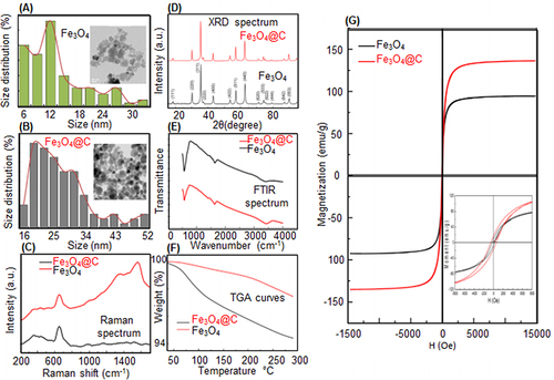 Figure 4 TEM morphologies and size distribution of (A) Fe3O4 NPs and (B) PMNCs of Fe3O4@C. (C) Raman spectrum, (D) XRD, (E) FTIR spectrum (F), TGA curves, and (G) Ms of Fe3O4 and Fe3O4@C.Citation136