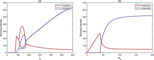 Figure 5. Bifurcation diagrams of autotrophs and mixotrophs for Iin∈(0,600) and Nin∈(0,200). Here, other parameters are from Table 1.