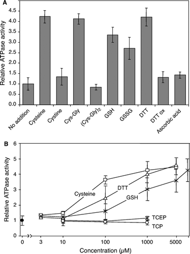 Figure 5.  Stimulation of the Atm1p ATPase activity by thiol compounds. (A) Atm1p-containing proteoliposomes were floated on a sucrose gradient and tested for their ATPase activity in the presence of different thiol-containing compounds (1 mM final concentration). The figure shows the mean of three independent determinations, relative to the value obtained without further addition. GSH, reduced glutathione; GSSG, oxidized glutathione; DTT ox, oxidized DTT. (B) The ATPase activity of floated Atm1p proteoliposomes was measured in the presence of increasing concentrations of cysteine, DTT, GSH, and of the reducing agents Tris(2-carboxyethyl)phosphine (TCEP) and Tris(2-cyanoethyl)phosphine (TCP). For the latter two reagents, no stimulatory effect was seen, whereas the thiol-containing compounds increased the ATPase activity in a concentration-dependent fashion.