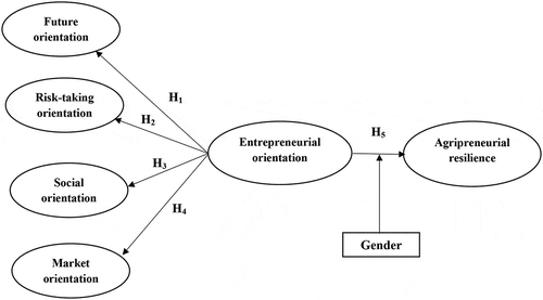 Figure 1. Proposed model for moderating role of gender on the relationship between entrepreneurial orientations and agripreneurial resilience