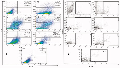 Figure 1. (1) Evaluation of parasitic loads using flow cytometery of BMDMs infected with transgenic L. donovani parasites expressing the red fluorescent protein DsRed2. Treatment was conducted at concentration of 1 μg/ml for 72 h with AmB (C1), Ambisome (D1) and nanoformulation based on UC (E1), TC (F1) and MTC (G1). For non-infected BMDMs (A1) florescence intensity (FL2-H) was <101 units and florescence intensity (FL2-H) was higher than 101 units against infected BMDMs (B1). (2) Contour plots of flow cytometry analysis of PI-labeled L. donovani LV82 promastigotes. Untreated promastigotes: negative control (A2) and 25 μM digitonin as positive control (B2). Treatment was conducted at their inhibitory concentration (IC50) for 72 h with AmB (C2), Ambisome (D2) and nanoformulation based on UC (E2), TC (F2) and MTC (G2).