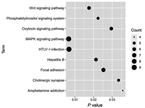 Figure 6 Kyoto Encyclopedia of Genes and Genomes pathway enrichment analyses of target genes of the seven microRNAs.Abbreviation: MAPK, mitogen-activated protein kinase.