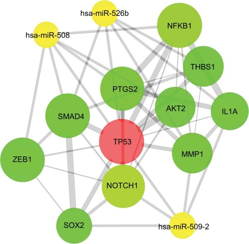Figure 10 PPI network of hub proteins.Notes: The MCODE was conducted to screen modules of the PPI network with a degree cutoff =2, node score cutoff =0.2, k-core =2, and maximum depth =100.Abbreviation: PPI, protein–protein interaction.