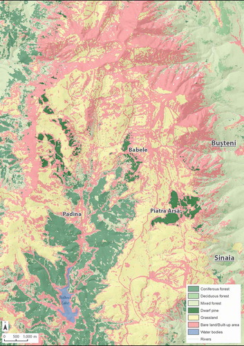 Figure 8. Land cover map for Bucegi area, generated from multi-date Sentinel-2 images, using ML classification algorithm.