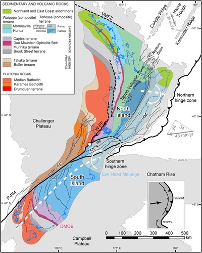 Figure 2. The Aotearoa-New Zealand plate boundary zone. From the north, oblique westward subduction of the Pacific plate (Hikurangi Plateau) beneath the North Island transitions southwards to transpression along the Alpine Fault at the latitude of the Chatham Rise (Beavan et al. Citation2002; Citation2007). Toward the south, the Alpine Fault transitions to eastward subduction of Australian plate oceanic crust beneath the Puysegur-Fiordland margin. At present the entire Hikurangi margin fore arc rotates at rates of ∼3°/Myr facilitated by extension in the Havre Trough (Wallace et al. Citation2004). Selected neotectonics faults (solid thin black lines) show the distribution of Holocene deformation along with inactive major Neogene structures (thick dashed black lines) (Stagpoole and Nicol Citation2008; Herzer et al. Citation2011; Edbrooke et al. Citation2014; Seebeck et al. Citation2022). Regional clockwise vertical-axis rotations of up to 70–90° have occurred along the Hikurangi margin forearc and southeastern South Island about two hinge zones (dashed white lines) during the Miocene (Hall et al. Citation2004; Lamb Citation2011). A vertical-axis fold hinge (dashed white line) runs the length of the South Island parallel to the Alpine Fault (Mortimer Citation2014). The simplified distribution of basement terranes (coloured polygons; modified after (Mortimer Citation2004; Heron Citation2020) throughout the plate boundary zone provide passive strain markers for reconstruction, in particular the trend of the Dun Mountain – Maitai terrane and the boundary between the Rakaia and Pahau petrofacies (Esk Head Mélange) of the Torlesse composite terrane. Location of relative motions shown in Figure 3 shown by white circle at the intersection of the Wairau and Waimea-Flaxmore faults. Inset shows map-view curve terminology from Marshak Citation2004). Abbreviations: AF, Alpine Fault; HM, Hikurangi margin; MFS, Marlborough Fault System; P-FM, Puysegur-Fiordland margin; TF, Taranaki Fault; VMFZ, Vening Meinesz Fracture Zone; W-FF, Waimea-Flaxmore Fault; WF, Wairau Fault.