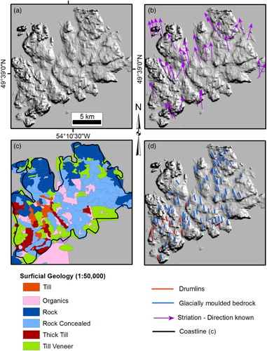 Figure 3. Both striation measurements and surficial geology data aided identification of areas of former ice flow and enabled categorisation of mapped landforms. The images display the same geographic extent of Fogo Island off the northeast coast of Newfoundland. The SRTM shaded relief image in (a) shows evidence of linear features across the island, which gives the landscape a streamlined appearance. Striae evidence in (b) indicates that this region experienced former ice flow (denoted by location of purple arrows with arrow indicating direction of flow). The 1:50 k surficial data in (c) allow for the identification of till-dominated or bedrock areas (Coastline has been inserted in black on the image to outline the coast as mapped on the SRTM imagery). (d) By using both striation evidence and surficial geology data, lineations mapped in exposed or concealed rock have been categorised as glacially moulded bedrock lineations, while those in areas of till are categorised as being of depositional origin, that is, drumlins, as illustrated in (d). (Box 3 in Figure 1). (Surficial geology and striation data from Newfoundland and Labrador Department of Natural Resources GeoScience Atlas OnLine: Available from: http://gis.geosurv.gov.nl.ca/).