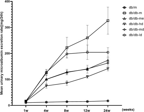 Figure 3 Effect of BSR on the UAER of db/db DN mice (mg/24-hours). Animals were assigned into six group (n = 25): control group (db/m), model group (db/db-m), positive group (db/db-me) and BSR at high- (db/db-hd), medium- (db/db-md) and low (db/db-ld) doses group. The data are shown as the mean±SD.