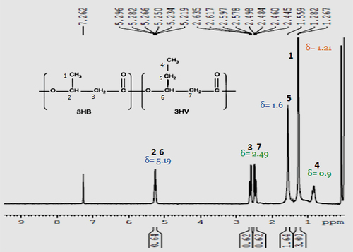 Figure 7. 1H NMR spectra of PHA (45.5% of PHA) extracted from Bacillus endophyticus using substrate 2% sucrose and co-substrate as PPA (15 mM).