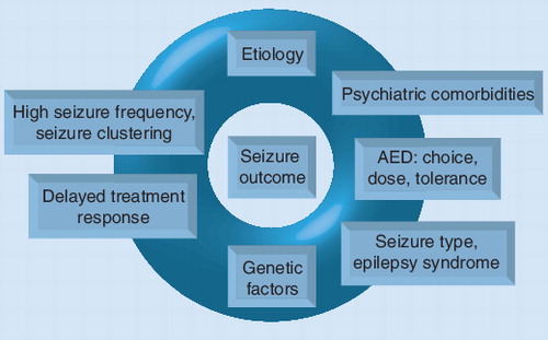 Figure 1. Potential predictive factors involved in seizure outcome of children with epilepsy.AED: Antiepileptic drug.