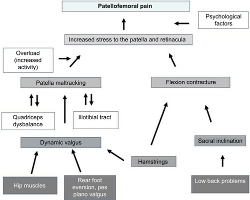 Figure 8 Algorithm for the pathogenesis of PFPS.