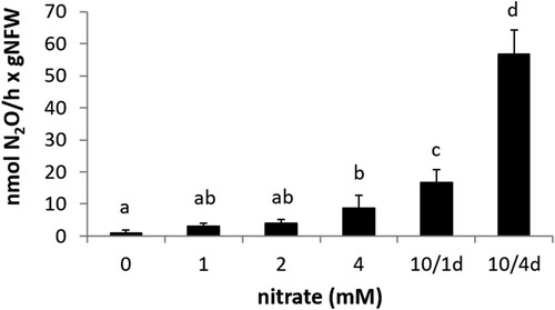 Figure 5. N2O emission by detached nodules from plants inoculated with R. etli CE3 and watered with mineral solution containing 0, 1, 2 or 4 mM KNO3 throughout the growth period or with 10 mM KNO3 for one day (10/1d) or four days (10/4d) before plant harvesting. Data are expressed as the mean value and standard deviation error bars of two independent experiments. In each experiment, 5 replicates collected from ten plants were assayed. Lower-case letters indicate comparisons between nitrate treatments. Same lower-case letters are not statistically significant according to HSD Tukey test at p ≤ 0.05. NFW, nodule fresh weight.