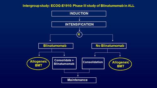 Figure 4 ECOG-ACRIN E1910 - Randomized phase III trial, now completed accrual, evaluating the impact of the addition of blinatumomab to newly diagnosed BCR-ABL-negative B-ALL. Although the initial CR is not impacted in this study, the focus is on increasing the depth of MRD-negativity and its potential to increase the long-term survival.