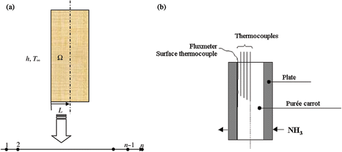 Figure 2. (a) Computational domain. (b) Diagram of the plate freezer with instrumentation.
