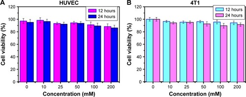 Figure 5 In vitro viabilities of HUVEC (A) and 4T1 cells (B) after incubation with various concentrations of Cu5FeS4 cube nanoparticles for 12 and 24 hours, respectively.Abbreviation: HUVEC, human umbilical vein endothelial cell.