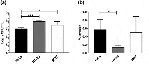Figure 1. Adherence and invasion of UPEC-46 in different eukaryotic cell lines. (a) Quantitative adherence and (b) invasion assays for UPEC-46 were performed in a 3-h incubation period at 37 °C, without D-mannose, using HeLa, HT-29, or 5637 cells. Experiments were performed in biological triplicates and experimental duplicates. The ANOVA followed by Tukey’s multiple-comparison test was used for the statistical analyses. P-value:* P < 0.05; ***P < 0.001.