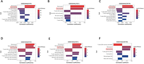 Figure 7 Correlation analysis between the enriched immune cells and three biomarkers. (A–C) Correlation analysis between three biomarkers (DYSF, LR1G and CSF3R) and immune cells in GSE62646. (D–F) Correlation analysis in GSE81622.