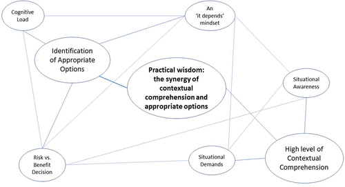 Figure 2. Thematic map: practical wisdom: the synergy of contextual comprehension and appropriate options.