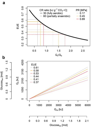 Figure 3. (a) Energy use efficiency (EUE; Eq. 3) as a function of the ratio between energy allocated to root respiration (catabolic energy Qc; Eq. 1) and root growth (anabolic energy Qa; Eq. 2) at different calorespirometric ratio (CR ratio) and levels of soil penetration resistance (PR). CR ratio of 30 and 60 kJ g−1 CO2-C represent fully aerobic and partially anaerobic conditions, respectively. (b) Qa as a function of the total energy required for root growth (Qtot; Eq. 3) at different EUE. Carbohydrate equivalents for Qa (Glucosebm) and Qtot (Glucosetot) were calculated using the molar combustion enthalpy of 2813.6 kJ mol−1 glucose. CR ratio and soil penetration resistance are indicated by line style and color, respectively. All calculations are based on mean values of 16 wheat genotypes and five replicates (n = 80) taken from Colombi et al.Citation2.