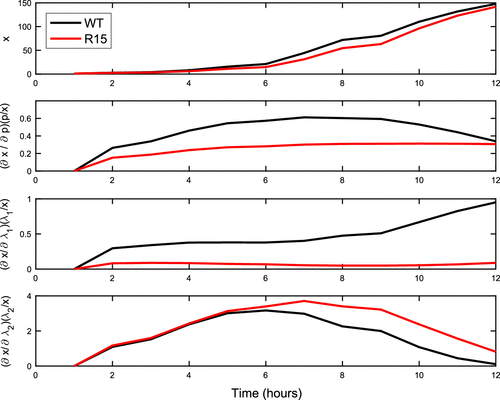 Figure 13. Time Varying Local Sensitivities. (Top) Model output x for optimal parameter choices. Note that despite the difference in the optimal parameters, the model behaviour for WT (black) and R15 (red) are quite similar. (Second - Bottom) Time varying sensitivities for WT (black) and R15 (red).