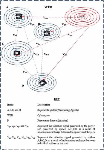 Figure 1. Vibrations generated by prey and spider at source positions