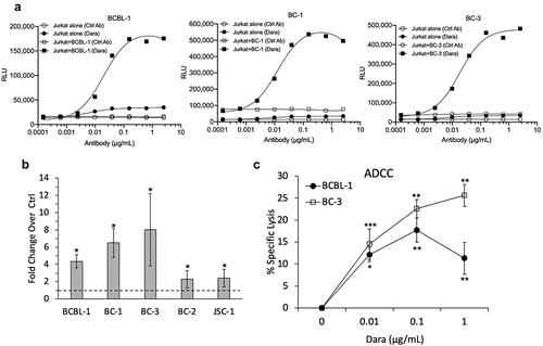 Figure 4. Dara-induced ADCC of PEL cell lines. (a) ADCC induction by Dara was assessed using Jurkat-ADCC cells (expressing FcY receptor and luciferase-driven NFAT response element) as the effector cells. BCBL-1, BC-1, or BC-3 cells were treated with various concentrations of Dara or human IgG isotype control ab and co-incubated with Jurkat-ADCC cells; luciferase activity was measured after 6 h. Data are presented as relative luminescence unit (RLU) from Jurkat-ADCC cells alone or Jurkat-ADCC cells co-incubated with PEL cells in the presence or absence of Dara from one representative experiment. (b) ADCC pathway activation in Jurkat-ADCC cells by 0.6 ug/mL Dara-treated PEL cell lines presented as fold change in luciferase activity over control-treated cells. Data represent an average from 3 independent experiments (4 experiments for BC-3) and error bars represent standard deviations. (c) PBMC-mediated ADCC of BCBL-1 and BC-3 cells as measured by calcein-AM release assay. Percent specific lysis was calculated by subtracting the % lysis in the absence of Dara from that in its presence. Data represent an average of 4 (BCBL-1) or 3 (BC-3) separate experiments and error bars represent standard deviations. Statistically significant differences (*P ≤ .05, **P ≤ .01, ***P ≤ .001) relative to controls without Dara as calculated using 2-tailed t-test are indicated.