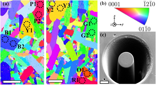 Figure 1. (a) EBSD maps of the microstructure of Ti2AlC MAX phase indicating grains (dotted circles) from which micropillars were subsequently milled. (b) The color-coded stereographic triangle associated with the z-axis EBSD maps in (a). (c) Selected but typical SE-SEM image of an as milled micropillar with axis along z. The scale bar in (a) is 100 µm and in (c) is 5 µm.