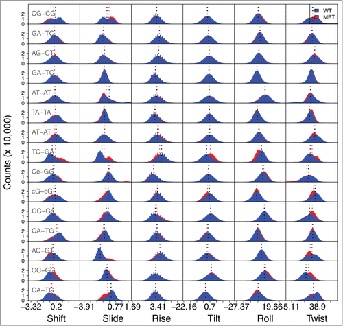 Figure 6. Frequency of values for the local base parameters for the d(5’- CCGAGATATCCGCACCAACG-3’)2 and the corresponding methylated sequence. The base step values for the 2 last bps at the 5′and 3′ termini are not shown. Due to space constraints on the figure, the 5-mC modification is represented by just the lowercase letter c. The shift, slide and rise parameters are expressed in Ångström, and the tilt, roll and twist parameters in degrees. The average values are depicted by the dotted lines. The values for the average and standard deviations of each parameter are presented in Table S12.