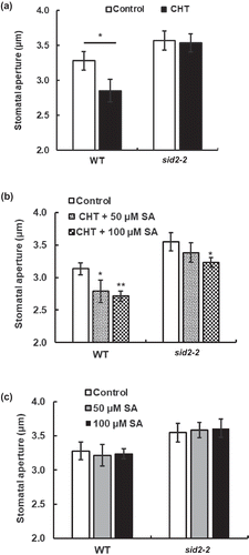 Figure 1. Chitosan (CHT)-induced responses of stomatal apertures in Arabidopsis wild type (WT) and sid2-2 mutant. (a) CHT (50 µg/mL) induced stomatal closure in WT but not in the sid2-2 plants. (b) Stomatal closure induced by co-treatment with CHT (50 µg/mL) and SA (100 µM) in WT and the sid2-2 plants. (c) SA at 50 µM and 100 µM did not induce stomatal closure in WT and the sid2-2 plants. Each bar shows average of stomatal apertures of 80 stomata (n = 4, where each experiment is from 20 stomata data). Error bars represent SE. * indicates significant at p < 0.05.