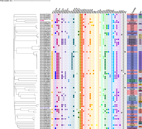 Figure 2 Phylogenetic tree of K. variicola 353, K. variicola ATCC BAA-830 and other blaNDM-carrying K. variicola strains retrieved from the NCBI database. Cells with different colors indicate the presence of different antimicrobial resistance genes, whereas blank cells indicate the absence of the gene. The color of each rectangular indicates a specific country.