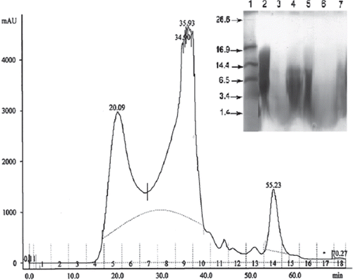 Figure 4. Superose 12HR 10/30 chromatogram of the EPC from 18 h old cultures of L. rhamnosus 231 growing on MRS medium. Inset shows Tricine-SDS-PAGE of partially purified glycopeptides eluted during SEC chromatography. Lane 1. Low molecular weight standards (Bio-Rad, Hercules, CA), lane 2. EPC after ammonium sulfate precipitation, lane 3 to 7, five pooled fractions 4–6, 7–8, 9–10, 11–13 and 14–16, respectively of EPC eluted during size exclusion chromatography.