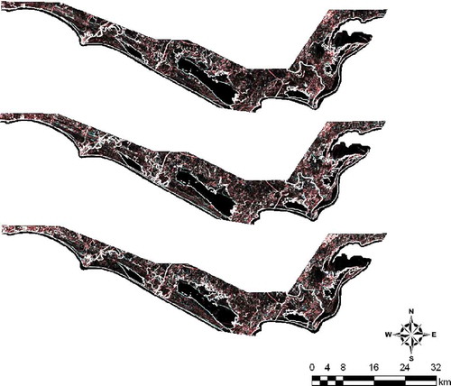 Figure 6. Variogram texture for 1985, 1993 and 2005 Landsat TM images.