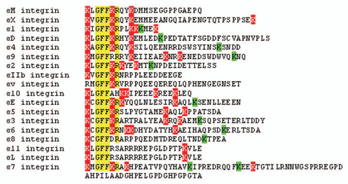 Figure 2 Human α integrin cytoplasmic tails. Lysines found in two or more α cytoplasmic tails are indicated in red, while non-conserved lysines are indicated in green. The consensus sequence GFFKR is indicated in yellow.