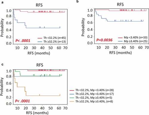 Figure 3. Kaplan-Meier survival curves showing RFS according to proportions of (a) helper T cells (Th), (b) macrophages (Mp), and (c) their combination. P values were calculated by the log-rank test. Vertical lines represent censoring