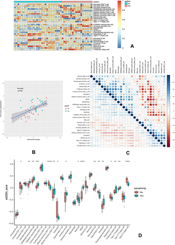 Figure 7 Immune landscape of GSE31625. (A) Heatmap of two subtypes from the GSE31625 based on ssGSEA scores calculated from 28 immune cells. (B) Correlation between anti-tumor immunity and pro-tumor immune suppressive functions; R: coefficient of Pearson’s correlation; the shaded area represents 95% confidence interval. (C) Correlation of 28 immune cells. (D) The relative immune infiltration scores of 28 immune cells between erlotinib-sensitive and resistant groups. P value significant codes: *P < 0.05, **P < 0.01, ***P < 0.001, ****P < 0.0001.