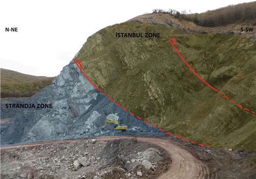 Figure 10. Outcrop represent the tectonic boundary between the İstanbul zone and the Strandja Massif. UTM WGS84 Coordinates: 0666761–4,564,893.