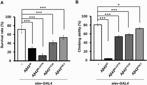 Figure 5. Survival rates and climbing ability of neuronal Aβ42-expressing flies with four different Aβ42 transgenes. (a) A graph showing the survival rates of Drosophila expressing human Aβ42 in their brains using four different transgenic lines at 25°C (Tukey–Kramer test, n ≥ 180, ***p < .001). (b) A graph showing the climbing ability of Aβ42-expressing flies at 25°C (Tukey–Kramer test, n ≥ 80, *p < .05, ***p < .001).